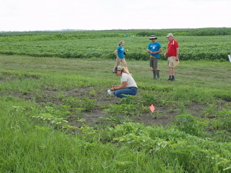 OAC Weeds Team member in the field during competition