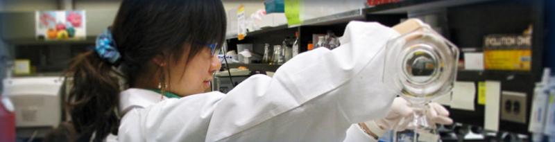 Image: Graduate student working in lab
