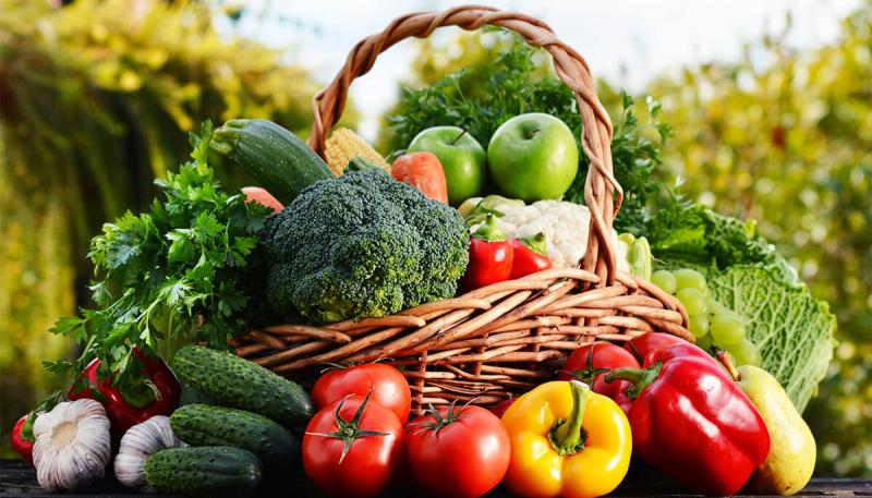 An array of fresh vegetables