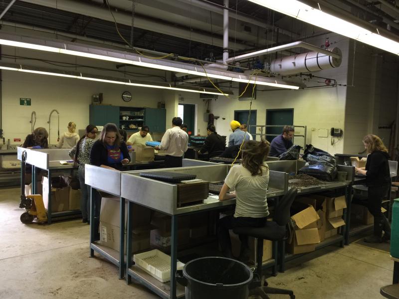 Social Committee Working in the potting room at Bovey