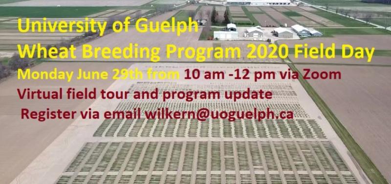 UofG 2020 Wheat Breeding Field Day poster