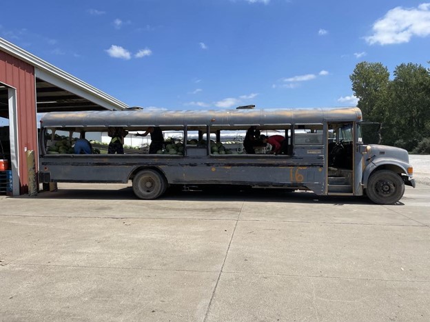 An old, gray school bus