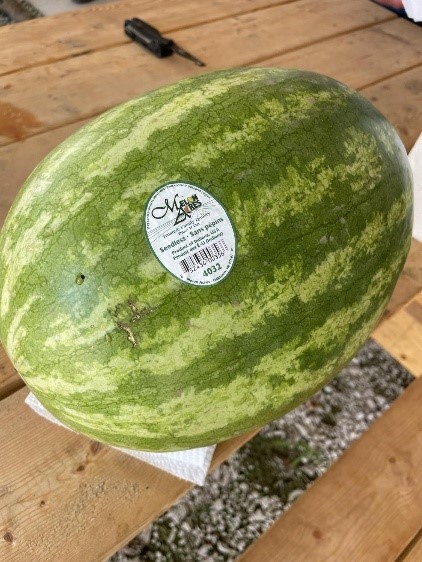 A large watermelon on a wooden table