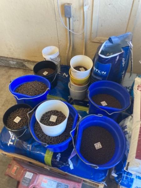 fish and plankton food sectioned out into buckets for specific ponds