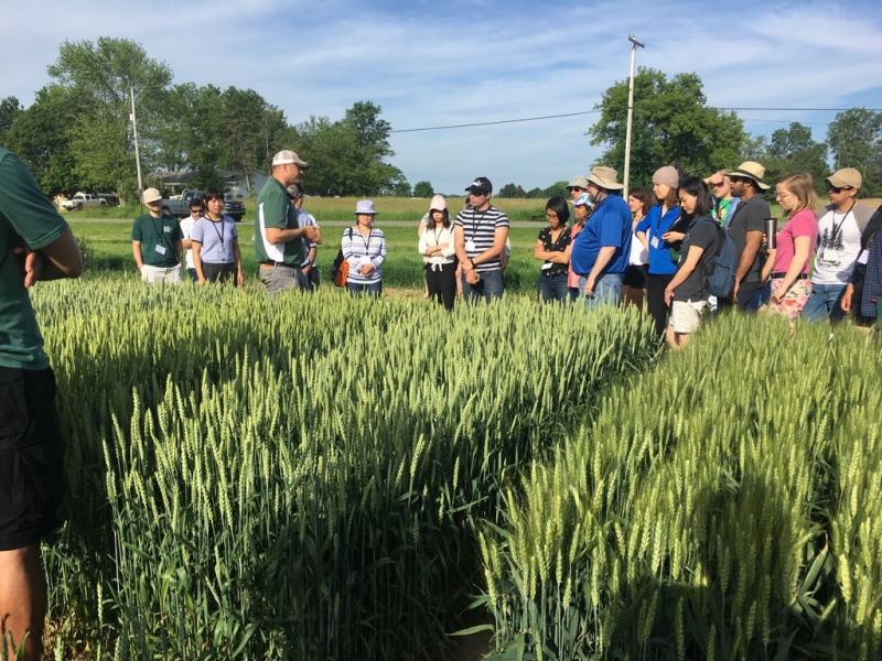 Dr. Eric Olsen showcasing his latest winter wheat varieties to be released