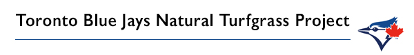 Toronto Blue Jays Natural Turfgrass Project divider