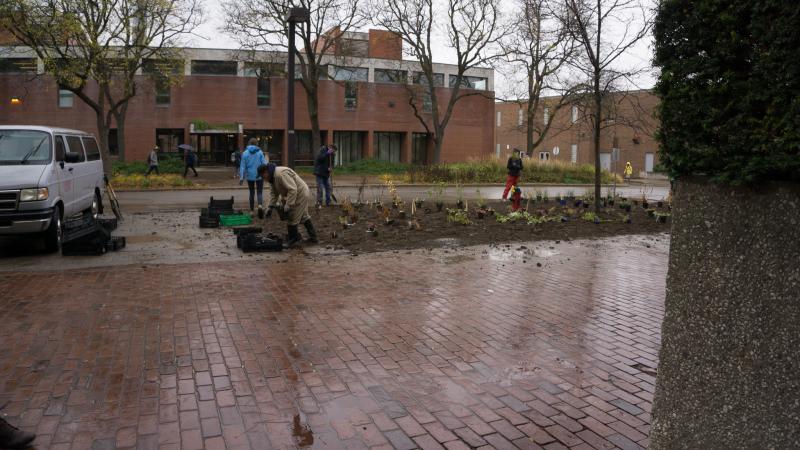 Rodger and students planting flowers in front of the Crop Science building