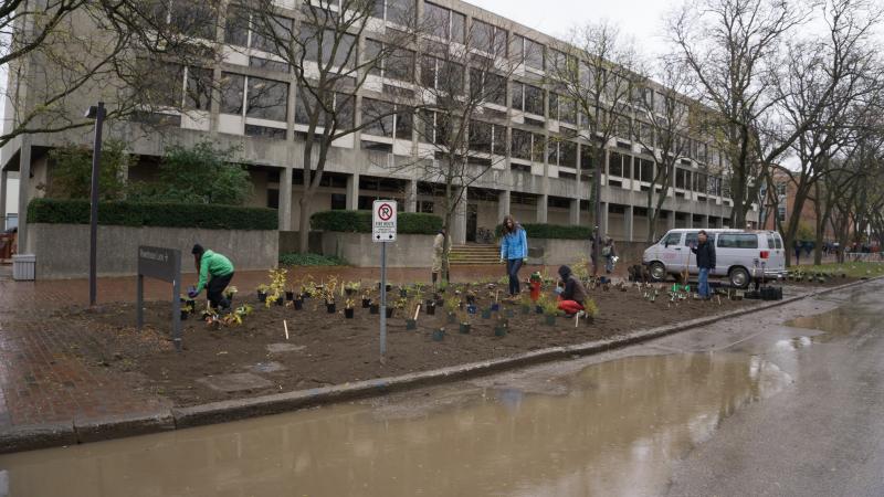 Students planting flowers in front of the Crop Science building