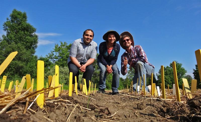 Ali, Sonhita and Paul in the fields