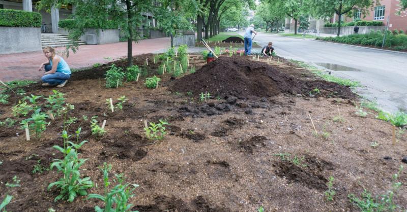 Planting flower beds in front of the Crop Science building