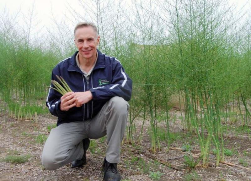 Prof. Dave Wolyn in an asparagus field.