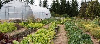 GCUOF view of gardens