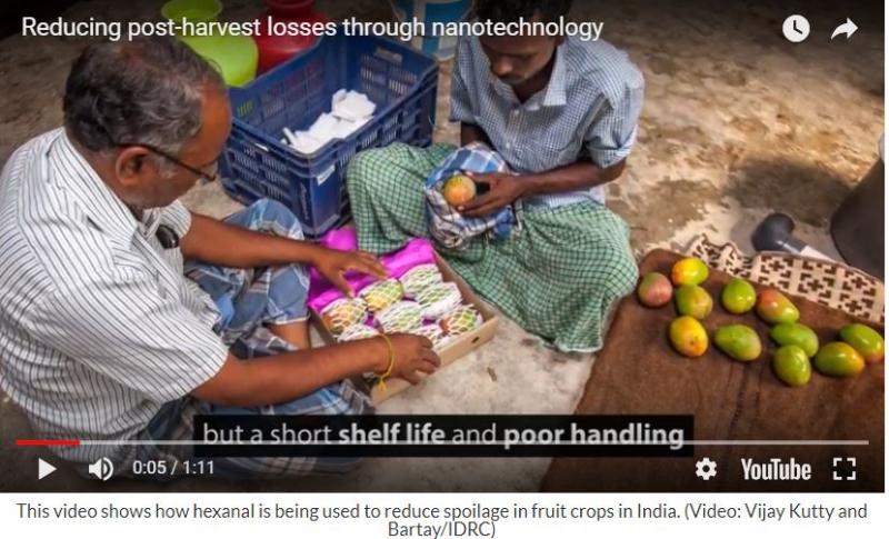 U Tube video showing reducing post-harvest losses through nanotechnology