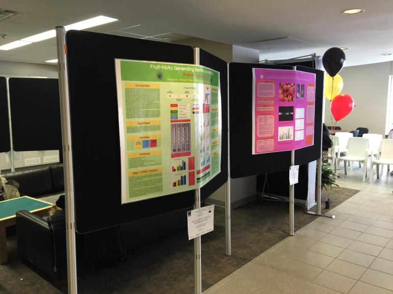 Display for the Science Fair