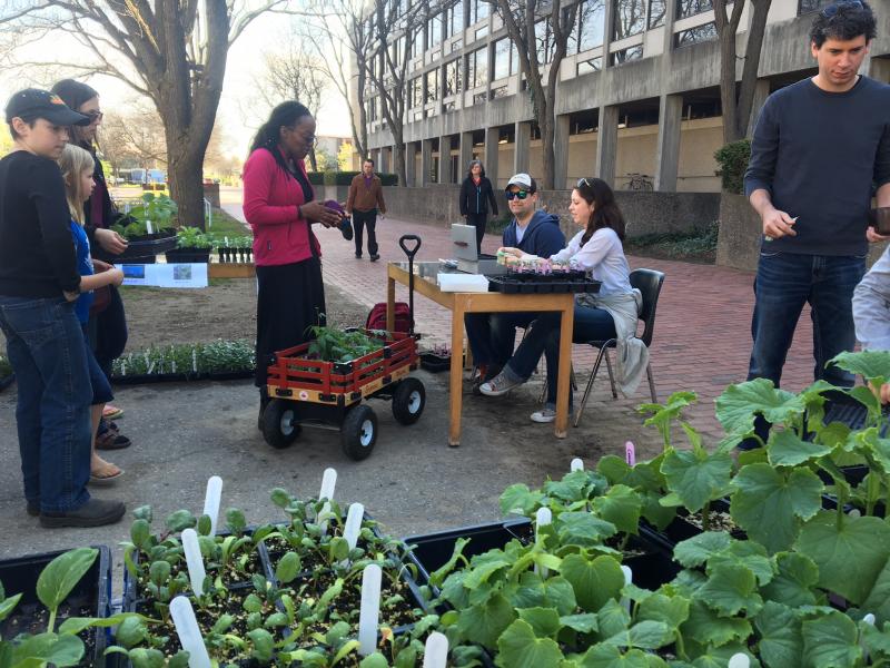 Plant Sale activities