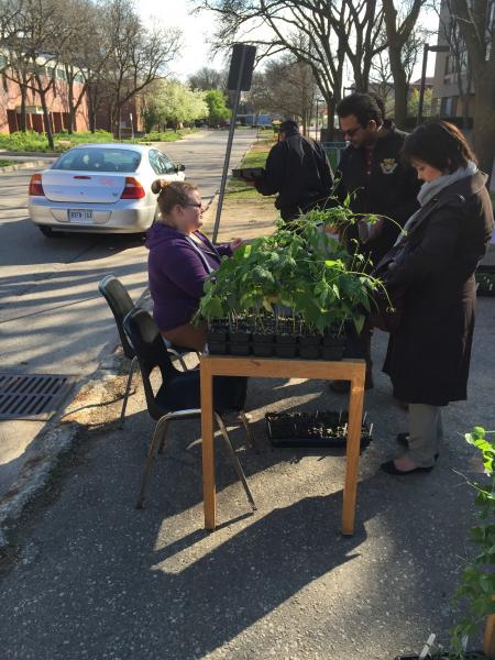 Plant Sale