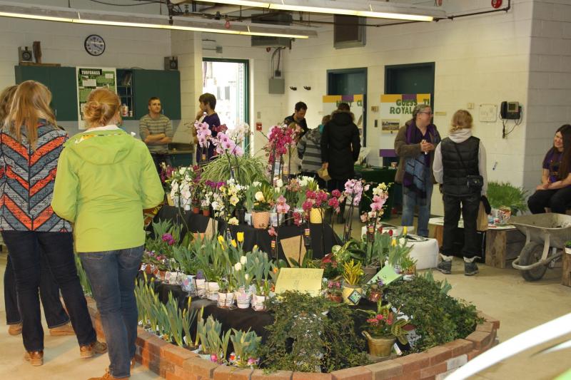 Hort club display