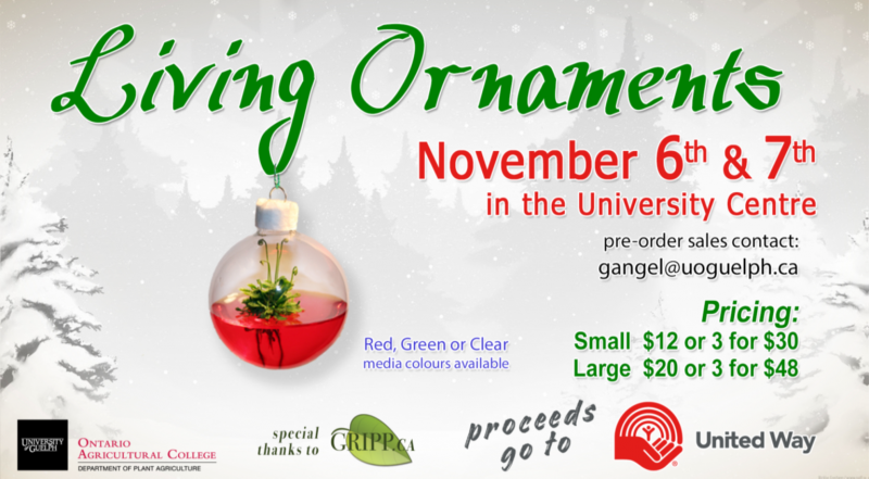 Living Ornament Sale