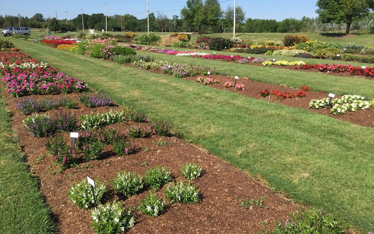 Trial Garden Photo