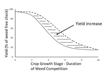 A black and white graph displaying the yield curve of crops in the presence of weeds. The y axis is labelled "Yield (% of weed-free check)" and the numbers go up in by 20, starting at zero and ending at 100. The x axis is labelled "Crop Growth Stage - Duration" and the numbers begin at zero and go up to 10, by twos. The graph shows two curves, one is straight and is the curve as currently understood. The second, is dotted and is a projected curve. In between both curves are dashed vertical lines. An arrow points to this section with the words "Yield increase".