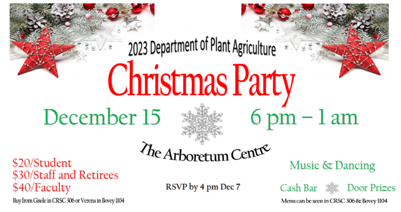 Christmas Party Poster