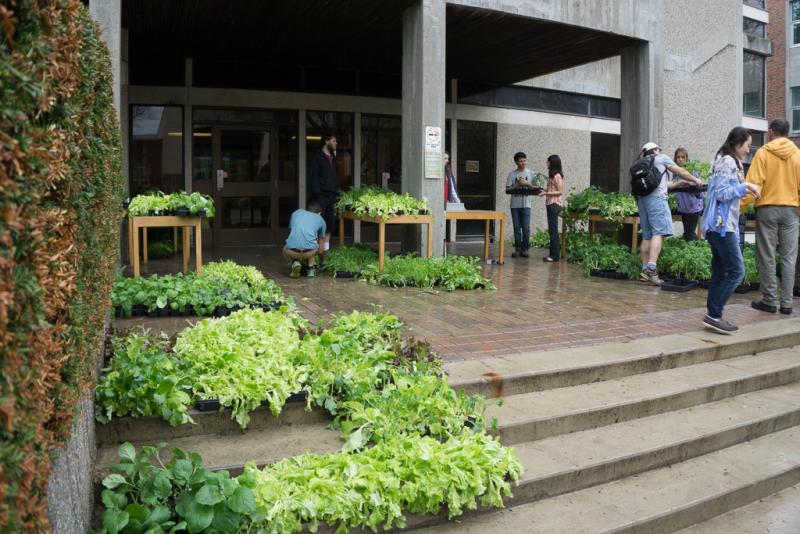 Plants for sale outside Crop Science Building