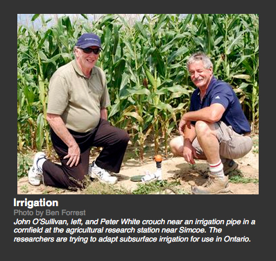 Dr. J. O'Sullivan and Peter White with drip irrigation 