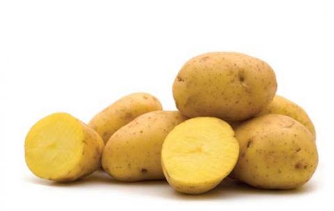 Yukon Gold potatoes