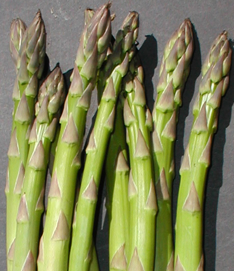 Asparagus tips