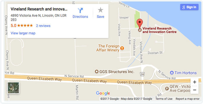 Google map location for Vineland 