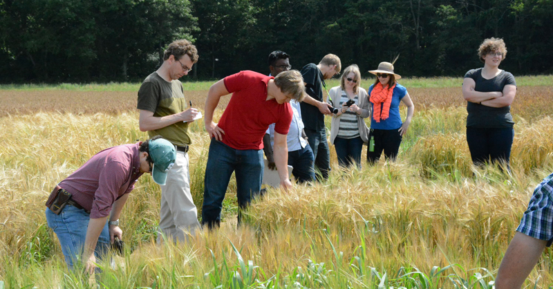 group closing inspecting barley