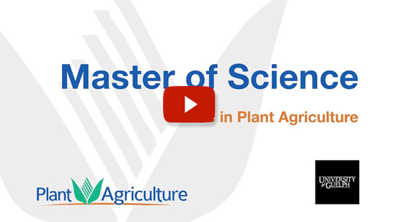 Masters in Plant Agriculture... click to watch the Youtube video
