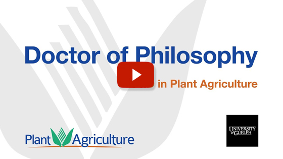 PhD in Plant Agriculture... click to watch the Youtube video