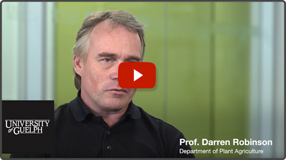 Meet prof Darren Robinson... click to watch Youtube video