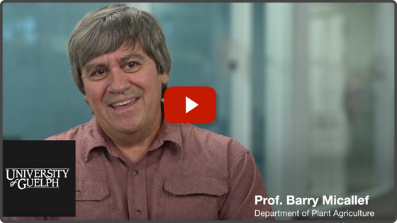 Meet prof Barry Micallef... click to watch Youtube video