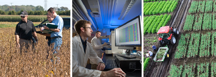 collage inspecting soybean field, at computer in lab, aeral over Muck Station