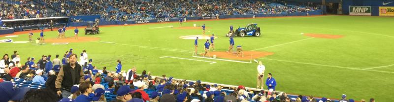 Rogers Centre In-Field