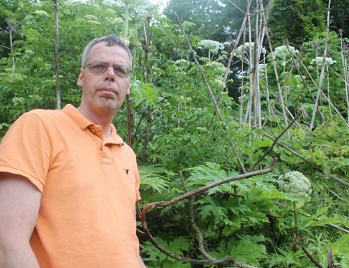 Image: Fracois Tardif beside Giant Hogweed plants.