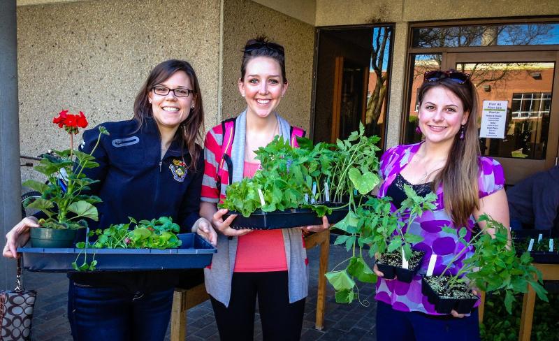 Image: Annual plant sale held by social committee