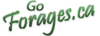 Go Forages.ca logo