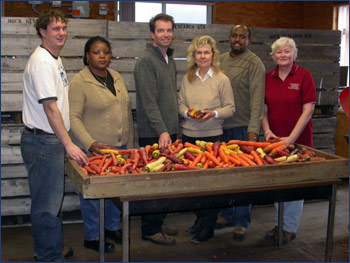 Image: Carrot research at Muck Station