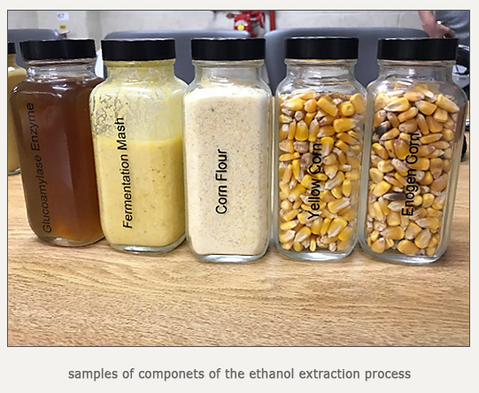 sample bottles of the componets of the ethanol extraction process