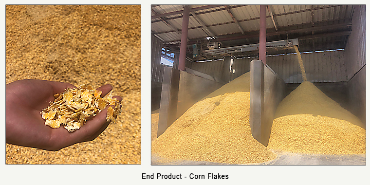 left: handful of flaked corn; right: flaked corn augered into piles