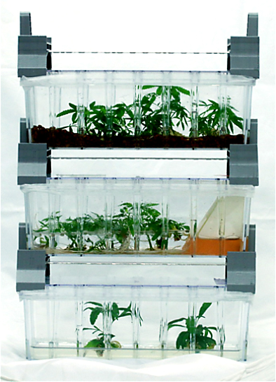 3D printing micropropagation systems