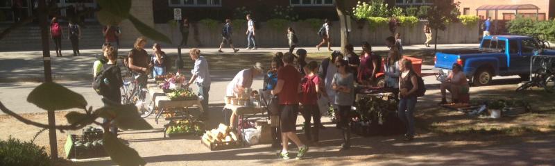 HORT3510 students run the weekly market