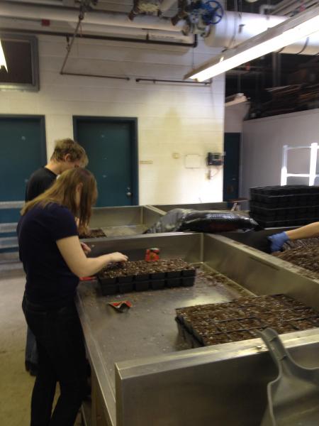 Potting room, Bovey Building