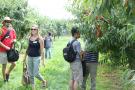 People at Vineland Fruit Research Day and Field Tour