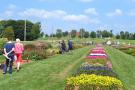 Guelph trial garden