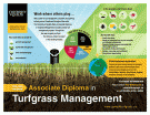Turgrass Management poster