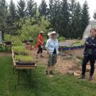 Seedling sale in the GCUOF gardens